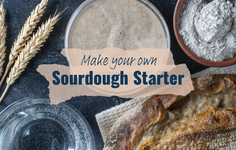 Sourdough Gut Health Workshop_Fresh Start Chiropractic and Wellness Center