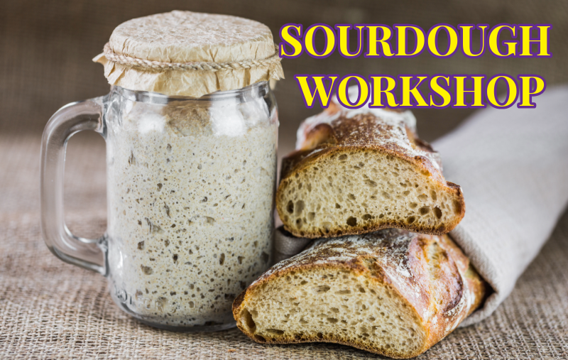 Sourdough Workshop_Fresh Start Chiropractic and Wellness Center