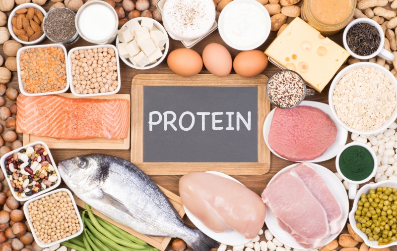 picture of foods that contain protein such as chicken, fish, and grains