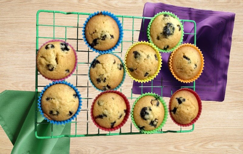 Blueberry Muffins, Sourdough_Fresh Start Chiropractic and Wellness Center