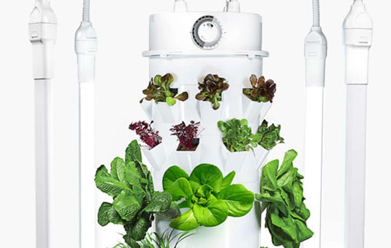 Tower Garden_Fresh Start Chiropractic and Wellness Center